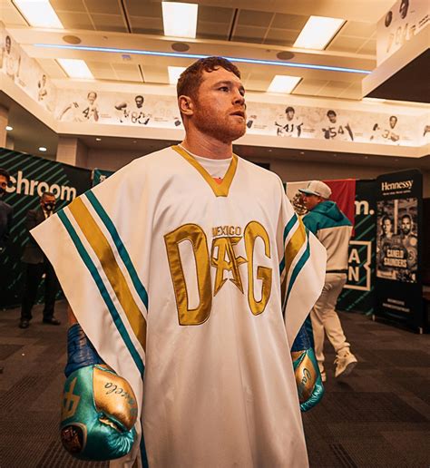 zarape del canelo dolce gabbana|How Dolce And Gabbana Made Canelo's Boxing Attire.